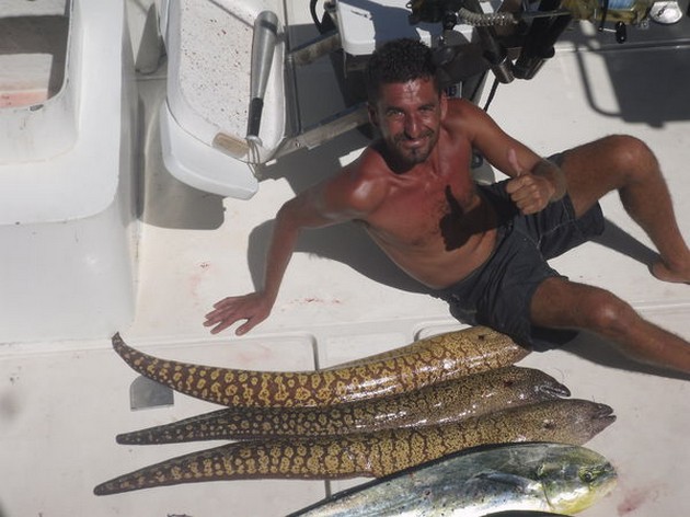 Dorado's - Cavalier & Blue Marlin Sport Fishing Gran Canaria