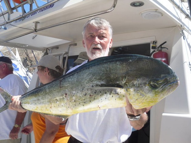 Dorado Cavalier & Blue Marlin Sport Fishing Gran Canaria