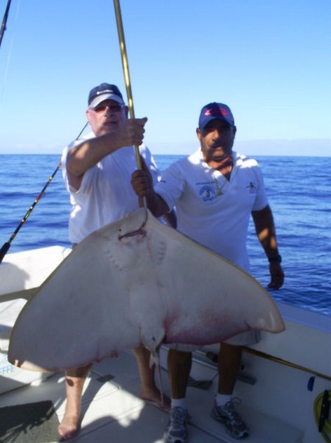 Butterfly Ray Cavalier & Blue Marlin Sport Fishing Gran Canaria