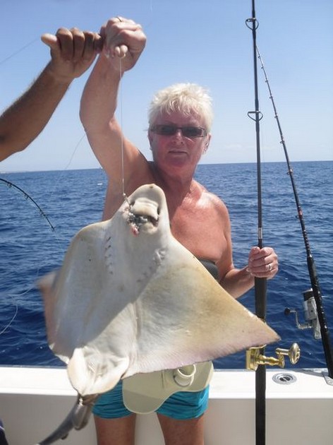 Eagle ray Cavalier & Blue Marlin Sport Fishing Gran Canaria