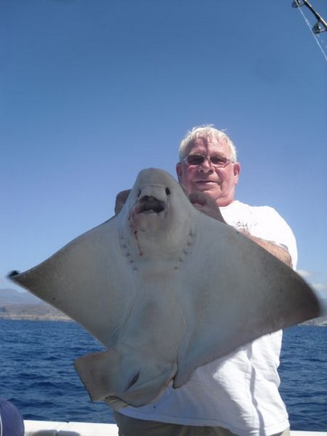 Eagle ray Cavalier & Blue Marlin Sport Fishing Gran Canaria