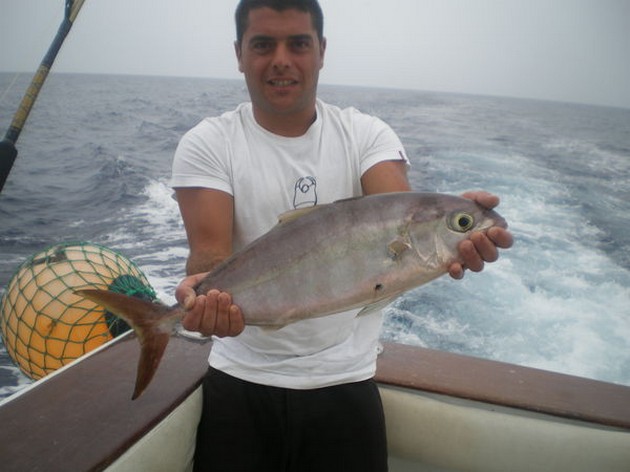 Amberjack Cavalier & Blue Marlin Sport Fishing Gran Canaria