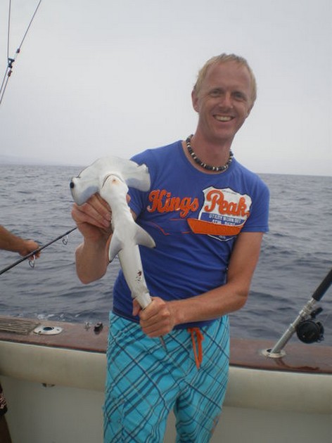 Baby Hammerhead Shark Cavalier & Blue Marlin Sport Fishing Gran Canaria