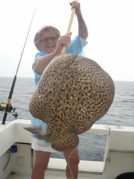 Common Torpedo Cavalier & Blue Marlin Sport Fishing Gran Canaria