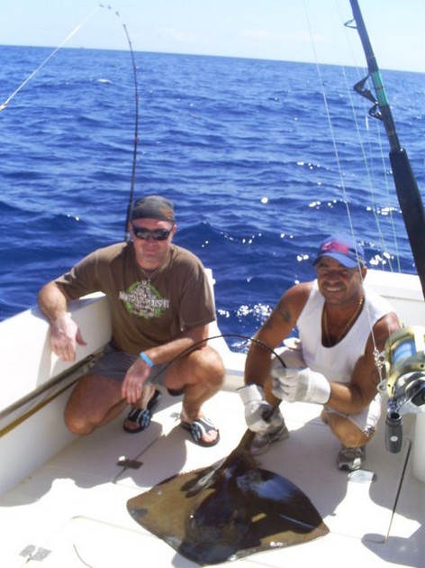 Common Stingray Cavalier & Blue Marlin Sport Fishing Gran Canaria