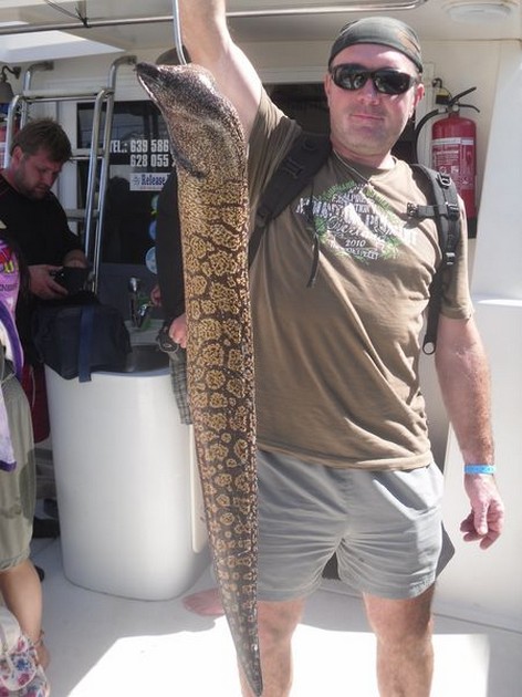 Tiger Moray Cavalier & Blue Marlin Sport Fishing Gran Canaria