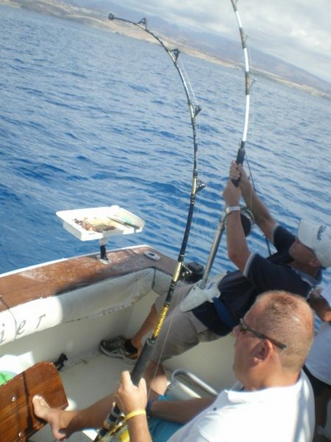 Hooked Up Cavalier & Blue Marlin Sport Fishing Gran Canaria