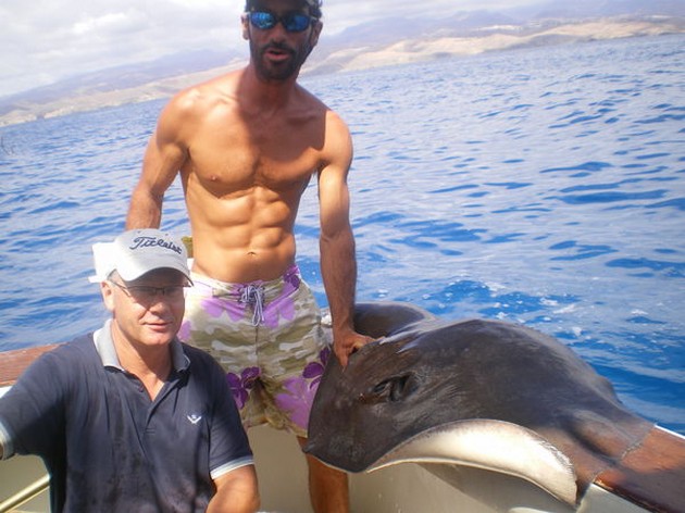 Common Stingray Cavalier & Blue Marlin Sport Fishing Gran Canaria