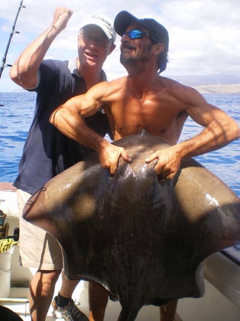 Common Stingray Cavalier & Blue Marlin Sport Fishing Gran Canaria