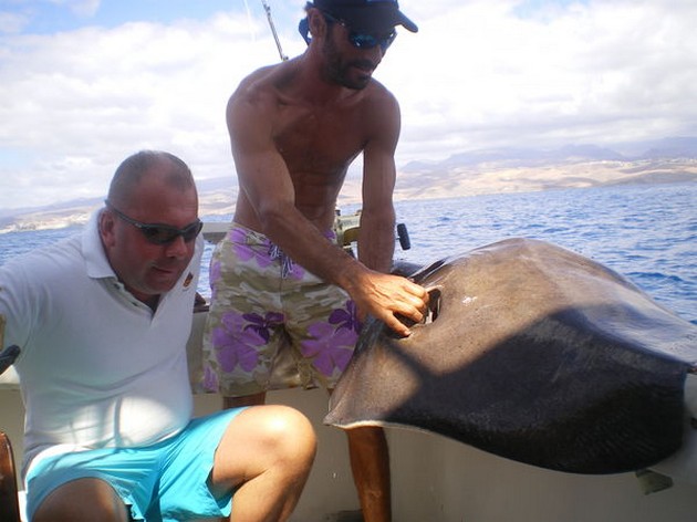 05/10 Common Stingray Cavalier & Blue Marlin Sport Fishing Gran Canaria