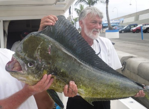 Dorado Cavalier & Blue Marlin Sport Fishing Gran Canaria