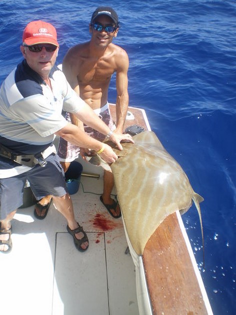 Duckbill Ray Cavalier & Blue Marlin Sport Fishing Gran Canaria