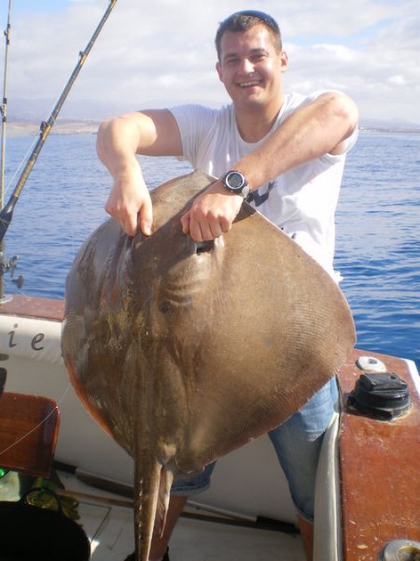 Roughtail Stingray Cavalier & Blue Marlin Sport Fishing Gran Canaria