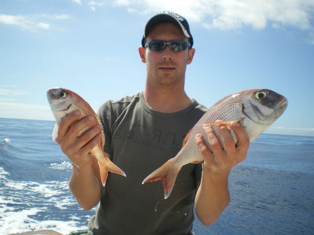 Red Snappers Cavalier & Blue Marlin Sport Fishing Gran Canaria