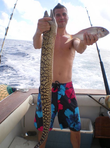 13/10 Tiger Moray Cavalier & Blue Marlin Sport Fishing Gran Canaria
