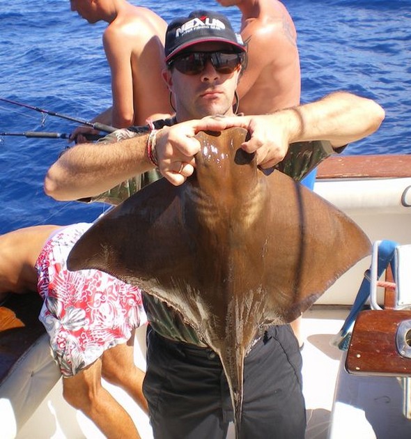 Eagle Ray Cavalier & Blue Marlin Sport Fishing Gran Canaria