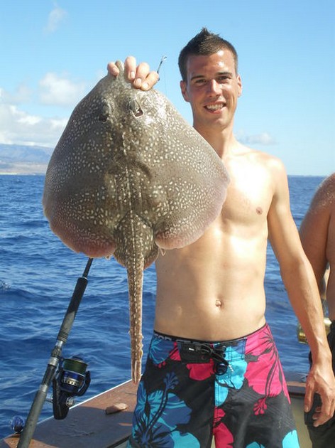 Madeira Skate Cavalier & Blue Marlin Sport Fishing Gran Canaria