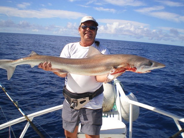 Smoothhound Cavalier & Blue Marlin Sport Fishing Gran Canaria