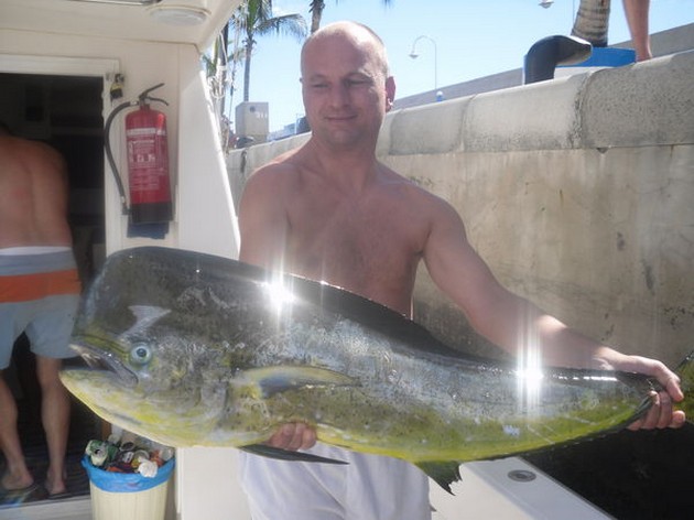 Dorado Cavalier & Blue Marlin Sport Fishing Gran Canaria