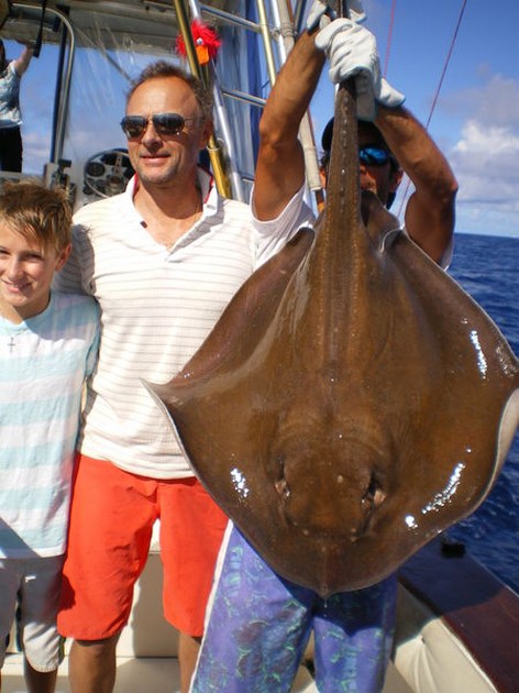 Common Stingray Cavalier & Blue Marlin Sport Fishing Gran Canaria