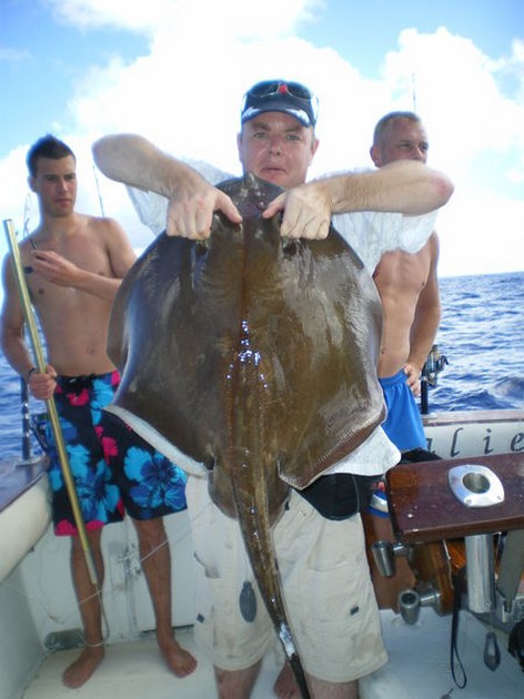 Common Stingray Cavalier & Blue Marlin Sport Fishing Gran Canaria