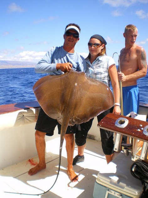 Roughtail Stingray Cavalier & Blue Marlin Sport Fishing Gran Canaria