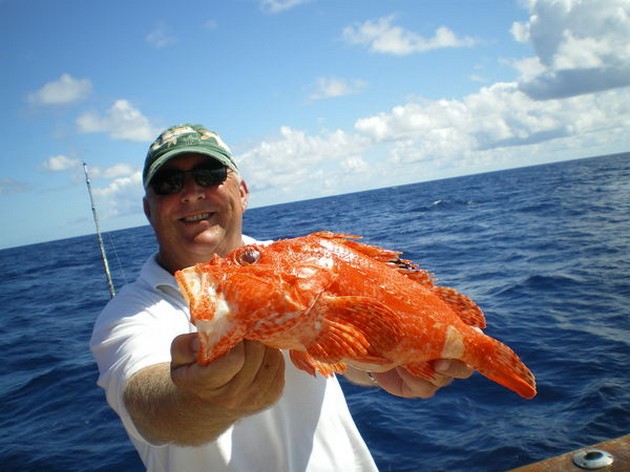 Scorpion fish Cavalier & Blue Marlin Sport Fishing Gran Canaria
