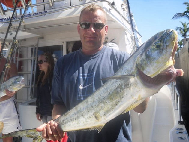 Dorado Cavalier & Blue Marlin Sport Fishing Gran Canaria