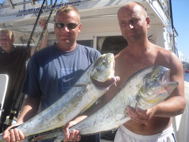 Dorado's Cavalier & Blue Marlin Sport Fishing Gran Canaria