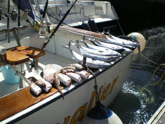 nice catch Cavalier & Blue Marlin Sport Fishing Gran Canaria