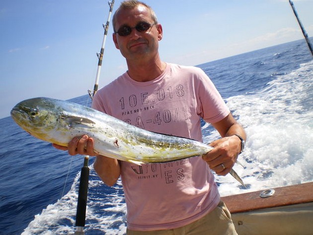 Dorado Cavalier & Blue Marlin Sport Fishing Gran Canaria