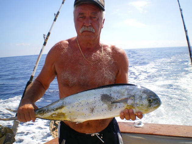 Dorado Cavalier & Blue Marlin Sport Fishing Gran Canaria
