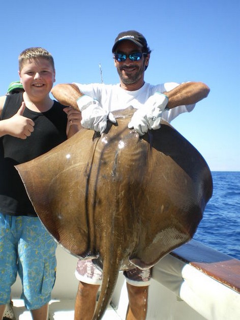 20/10 Common Stingray Cavalier & Blue Marlin Sport Fishing Gran Canaria