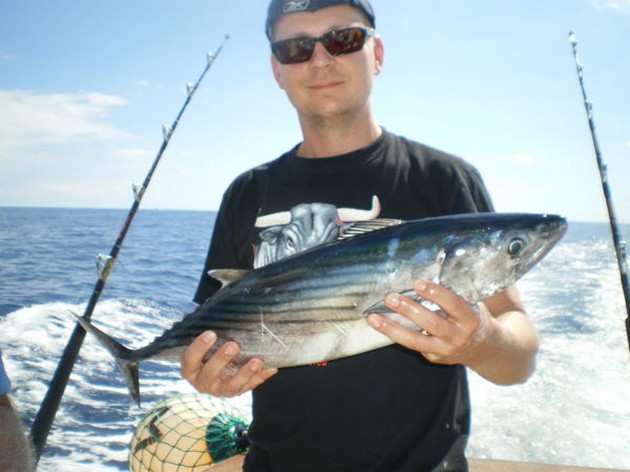 Sierra Tuna Cavalier & Blue Marlin Sport Fishing Gran Canaria