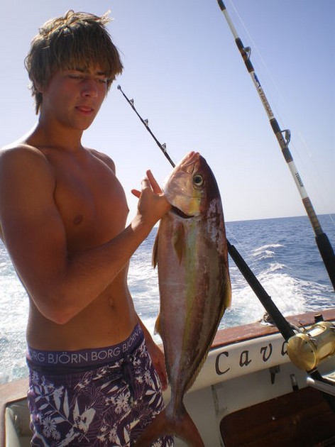 Amberjack Cavalier & Blue Marlin Sport Fishing Gran Canaria