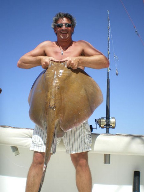 Common Stingray Cavalier & Blue Marlin Sport Fishing Gran Canaria