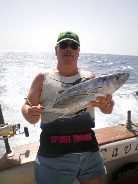 Atlantic Bonito Cavalier & Blue Marlin Sport Fishing Gran Canaria