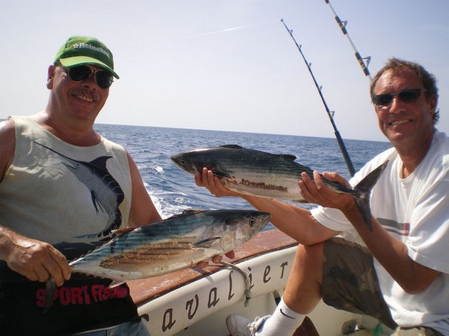 Atlantic Bonito's Cavalier & Blue Marlin Sport Fishing Gran Canaria