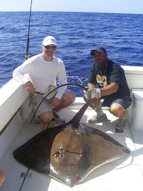 29/10 Common Stingray Cavalier & Blue Marlin Sport Fishing Gran Canaria