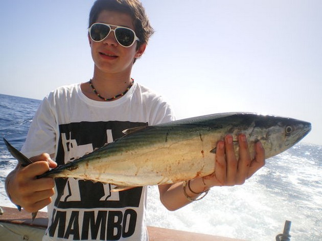 Atlantic Bonito Cavalier & Blue Marlin Sport Fishing Gran Canaria