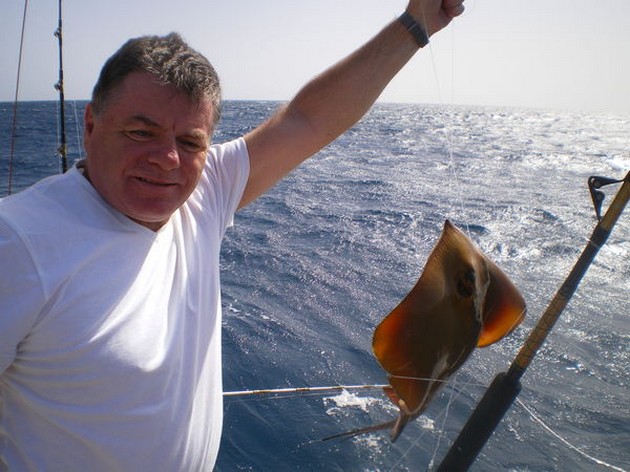 Common Stingray Cavalier & Blue Marlin Sport Fishing Gran Canaria