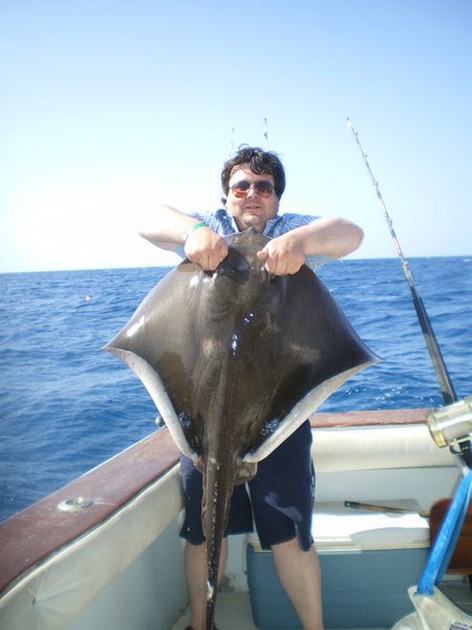 Common Stingray Cavalier & Blue Marlin Sport Fishing Gran Canaria