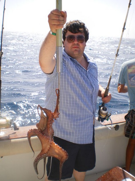 Octopus Cavalier & Blue Marlin Sport Fishing Gran Canaria