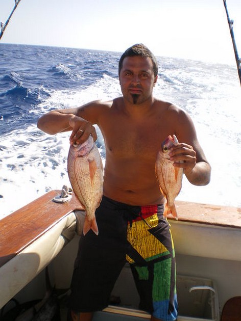 Red Snappers Cavalier & Blue Marlin Sport Fishing Gran Canaria
