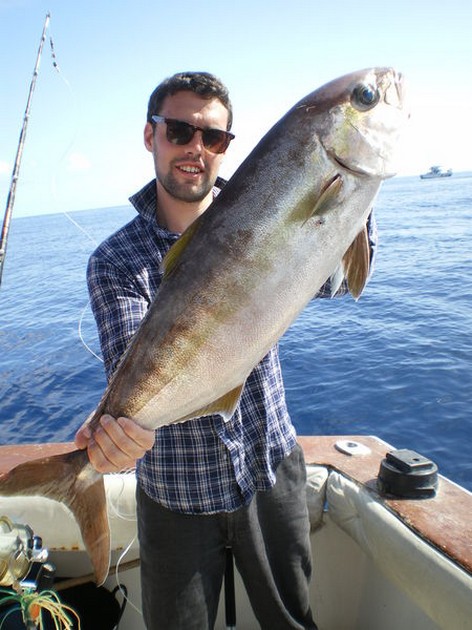 10/11 Amberjack Cavalier & Blue Marlin Sport Fishing Gran Canaria
