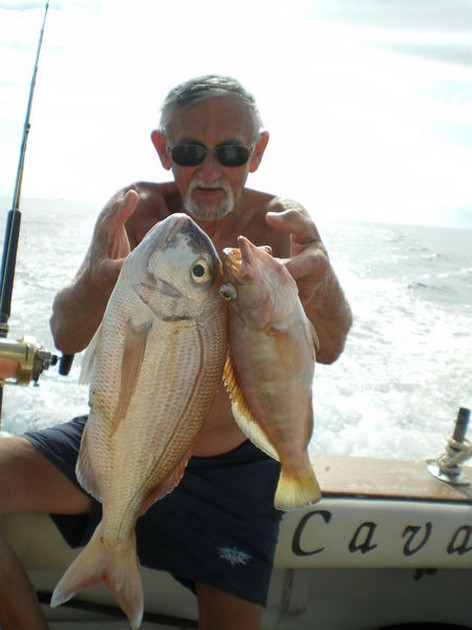 well done Cavalier & Blue Marlin Sport Fishing Gran Canaria