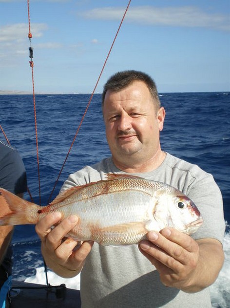 Red Snapper Cavalier & Blue Marlin Sport Fishing Gran Canaria
