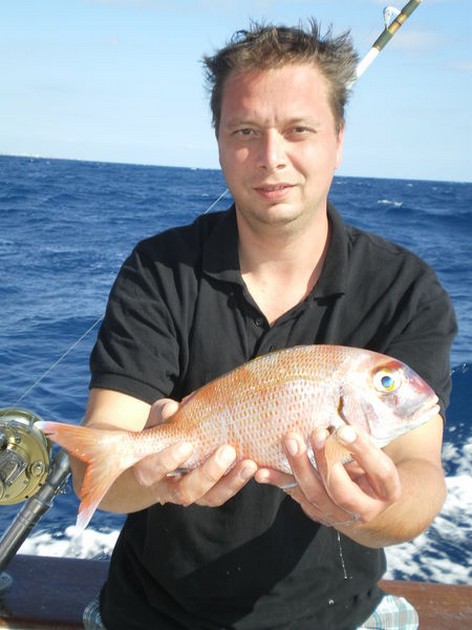 Red Snapper Cavalier & Blue Marlin Sport Fishing Gran Canaria