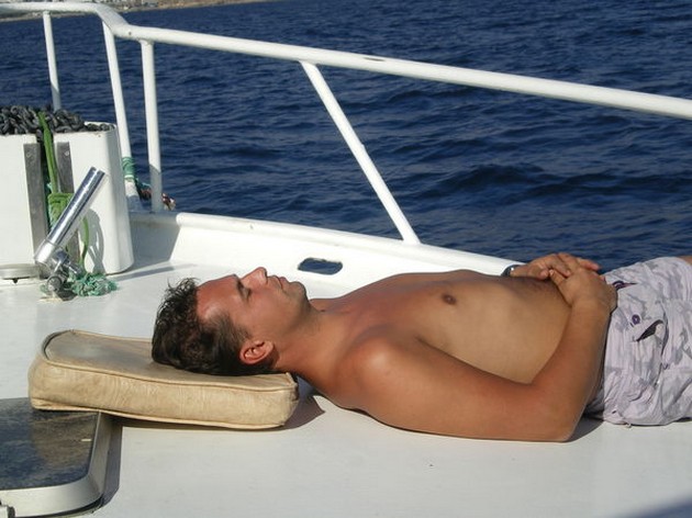 Welterusten Cavalier & Blue Marlin Sport Fishing Gran Canaria