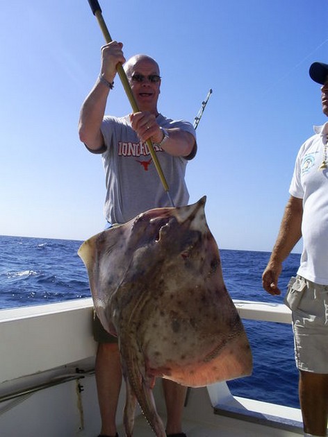 Bottle Nosed Skate Cavalier & Blue Marlin Sport Fishing Gran Canaria